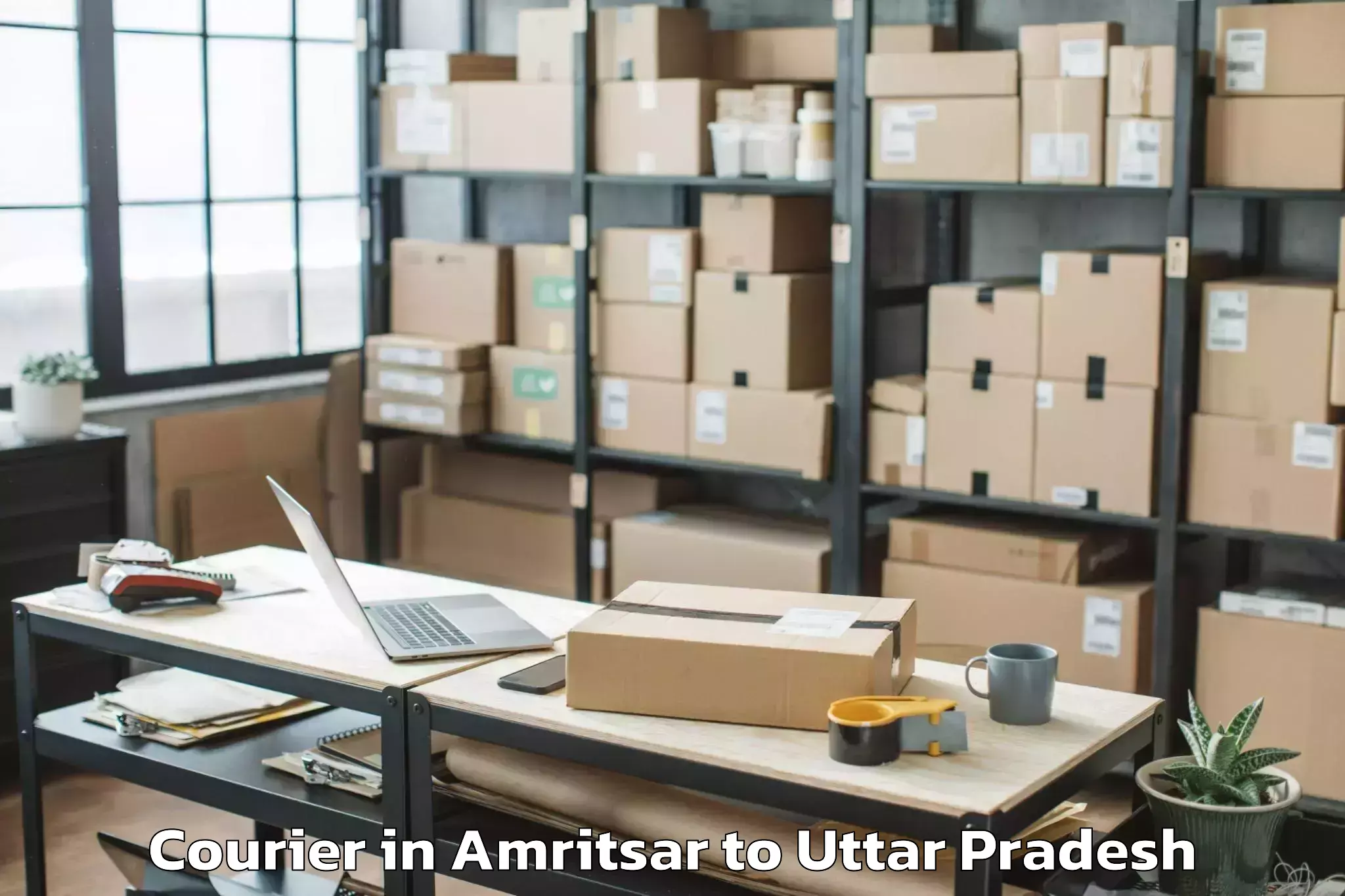 Professional Amritsar to Auraiya Courier